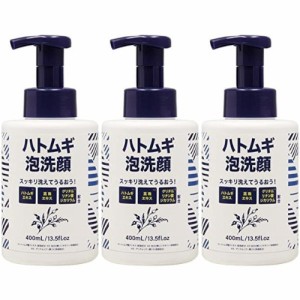 メンズ ハトムギ泡洗顔 400ml【3個セット】(4573500873017-3)