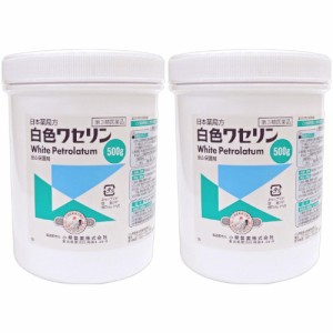 【第3類医薬品】日本薬局方 白色ワセリン 500g【2個セット】(4987371546169-2)