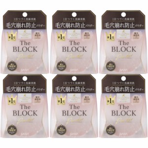 【6個セット】サナ 毛穴パテ職人 毛穴崩れブロックパウダー ピンクベージュ 13g(4964596702129-6)