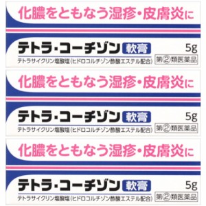 【第(2)類医薬品】テトラ・コーチゾン軟膏 5g【3個セット】【メール便】(4987014030703-3)