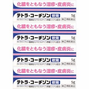 【第(2)類医薬品】テトラ・コーチゾン軟膏 5g【4個セット】【メール便】(4987014030703-4)