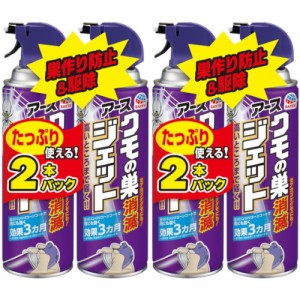 クモの巣消滅ジェット 450ml×2【2個セット】(4901080258212-2)