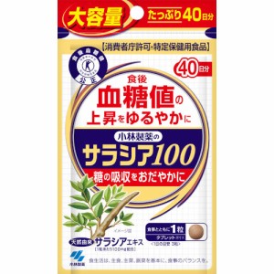 小林製薬のサラシア１００ 120粒【定形外郵便】(4987072091791)