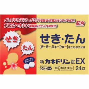 【第(2)類医薬品】新カネドリン錠ＥＸ 24錠【定形外郵便】(4975687015356)