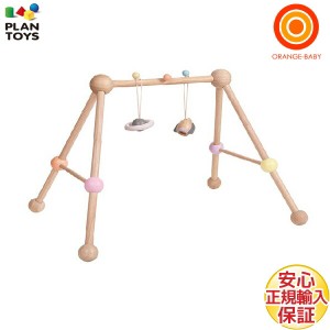 PLANTOYS(プラントイ) プレイジム【送料無料　沖縄・一部地域を除く】