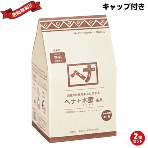 ナイアード ヘナ+木藍 茶系 徳用400g ２個セット トリートメントキャップ付き