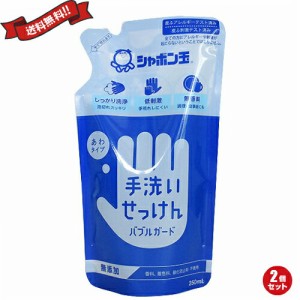 ハンドソープ 詰め替え 泡 シャボン玉 手洗いせっけん バブルガード 詰替250ml 2個セット