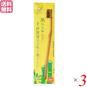 歯ブラシ ハブラシ 馬毛 FINE MEGURU 竹の歯ブラシ 花馬毛（ふつう）3本セット 送料無料