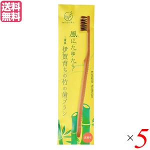 歯ブラシ ハブラシ 馬毛 FINE MEGURU 竹の歯ブラシ 花馬毛（ふつう）5本セット 送料無料