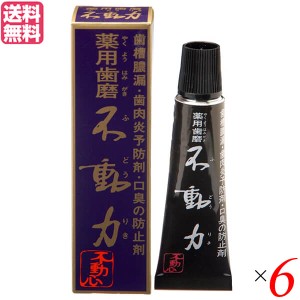 歯磨き ハミガキ 歯磨き粉 美の友 薬用自然派はみがき 不動力 35g 医薬部外品 6個セット 送料無料