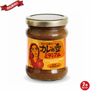 カレー ルー レトルト 第3世界ショップ カレーの壺 ミディアム 220g ２個セット