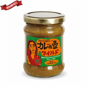 【200円OFFクーポン配布中！】カレー ルー レトルト 第3世界ショップ カレーの壺 マイルド 220g