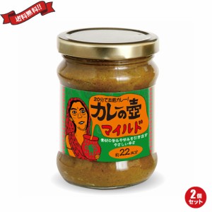 カレー ルー レトルト 第3世界ショップ カレーの壺 マイルド 220g ２個セット