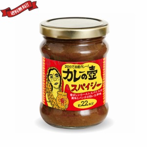 【ポイント倍々！最大+7%】カレー ルー レトルト 第3世界ショップ カレーの壺 スパイシー 220g