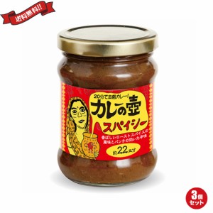 【ポイント倍々！最大+7%】カレー ルー レトルト 第3世界ショップ カレーの壺 スパイシー 220g ３個セット