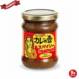 【ポイント倍々！最大+7%】カレー ルー レトルト 第3世界ショップ カレーの壺 スパイシー 220g ６個セット