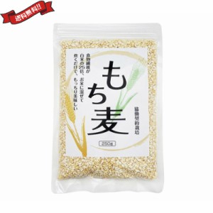 【ポイント倍々！最大+7%】もち麦 250g