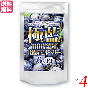 ビルベリー ルテイン サプリ 極藍100倍濃縮北欧産ビルベリー 大容量 360粒 約6ヵ月分 4個セット 送料無料