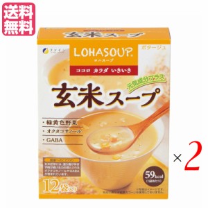 インスタントスープ 粉末スープ カップスープ ロハスープ LOHASOUP 玄米スープ 12杯分 2セットファイン