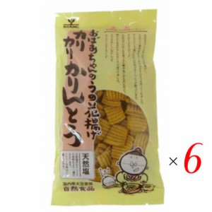 かりんとう ギフト 人気 カリカリかりんとう（天然塩）135g 6袋セット