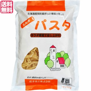 パスタ ショートパスタ マカロニ 国内産エルボパスタ 300g 桜井食品 送料無料