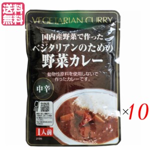 カレー ベジタリアン ビーガン ベジタリアンのための野菜カレー 200g 中辛 10個セット 桜井食品 送料無