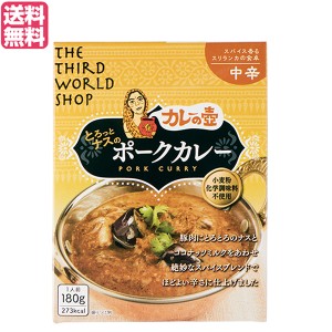 【ポイント倍々！最大+7%】カレーの壺 レトルト カレー とろっとナスのポークカレー 中辛 180g 第3世界ショップ 送料無料