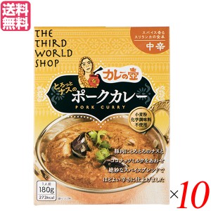 【ポイント倍々！最大+7%】カレーの壺 レトルト カレー とろっとナスのポークカレー 中辛 180g 第3世界ショップ 10箱セット 送料無料