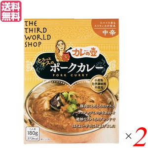 カレーの壺 レトルト カレー とろっとナスのポークカレー 中辛 180g 第3世界ショップ 2箱セット 送料無料