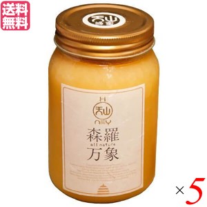 【ポイント倍々！最大+7%】はちみつ ハチミツ ハニー 森羅万象 天山蜂蜜 600g 5個セット 送料無料