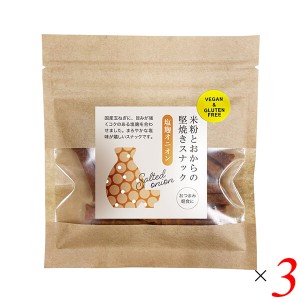 スナック 塩麹 堅焼き 米粉とおから堅焼きスナック 塩麹オニオン 40g 3個セット 茎工房 送料無料