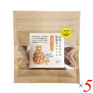 スナック 塩麹 堅焼き 米粉とおから堅焼きスナック 塩麹オニオン 40g 5個セット 茎工房 送料無料