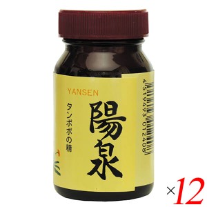 タンポポ 根 たんぽぽ茶 陽泉 100g 12個セット 日本正食品研究所