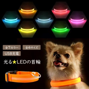充電式 光る首輪 犬 LED ペット 夜間 散歩 事故防止 安全 メール便送料無料 即納