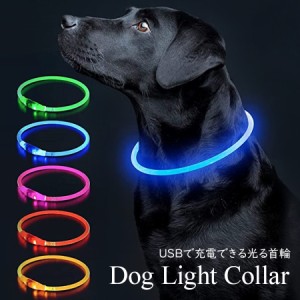 犬 首輪 光る USB充電式 LED ペット 夜間 散歩 事故防止 安全 メール便送料無料 即納