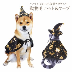 ペット ハロウィン ケープ ハット 2点セット 3サイズ 猫 犬 動物 コスプレ ハロウィン 衣装 仮装 コスチューム メール便送料無料