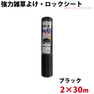  シンセイ 強力雑草よけシート ロックシート　2ｍ×30ｍ 【北海道・九州別途送料/代引不可/沖縄県配達不可】