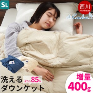 当社限定品 西川 ダウンケット 羽毛 肌掛け布団 シングル 増量0.4kg ダウン85％ 肌掛け 洗える 150×210cm 夏 抗菌 無地 ボリューム