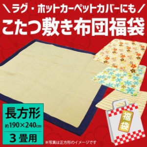 こたつ布団 敷き 長方形 190×240cm ラグ 3帖 3畳 色柄込み 大判 おしゃれ かわいい ホットカーペットカバー 福袋