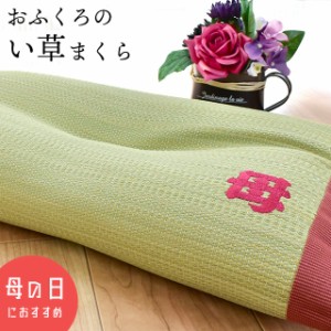 い草枕 まくら 約50×30cm 国産 い草 くぼみ 低反発 お昼寝 ごろ寝枕 肩こり いびき 首こり 頭痛 母の日 誕生日