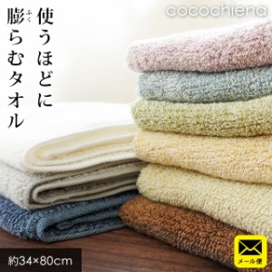 タオル フェイスタオル ココチエナ cocochiena 34×80 スイッチパイル 高吸水糸使用 中厚 小さめ ※メール便 ※同梱不可 ※