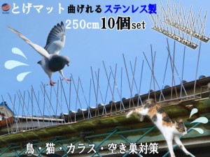 鳥よけ (スパイク10個 250cm)  【メール便 送料無料】鳩よけ 100%ステンレス製 簡単設置 鳥害対策 鳥よけ対策 鳥よけグッズ 鳩よけグッズ