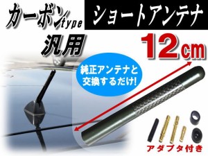 カーボンアンテナ 黒 12cm メタル軸内臓 ショートアンテナ スペーシア ハスラー ゴルフ ビートル アップ ポロ 三菱 ランサーエボリューシ