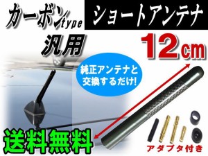 カーボンアンテナ 黒 12cm 【メール便 送料無料】メタル軸内臓 ショートアンテナ ブラック120mm車載用 ユーロタイプ アンテナ ネジ径M5 M