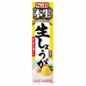 エスビー食品 本生  生しょうが 40g×10個