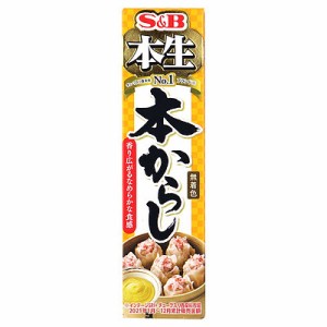 エスビー食品 本生本からし 43g×10個