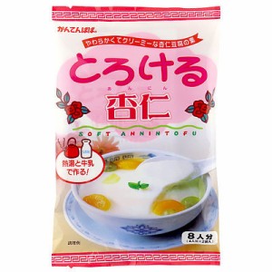 伊那食品 とろける杏仁 120g×5個