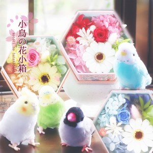 母の日 プリザーブドフラワー 花 プリザードフラワーソープフラワー ボックスフラワー セキセイインコ ブルー グリーン オカメインコ さ