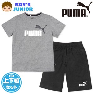 【送料無料】男児 ジュニア PUMA 半袖 Tシャツスーツ 上下組 ハーフパンツ ジャージ 本体綿100％ 子供服 td-0516a-gy【メール便対応】