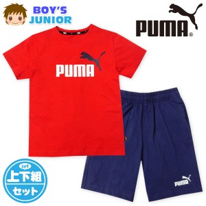 【送料無料】男児 ジュニア PUMA 半袖 Tシャツスーツ 上下組 ハーフパンツ ジャージ 本体綿100％ td-0421b-rd【メール便対応】